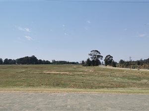 5949 m² Land available in Dullstroom