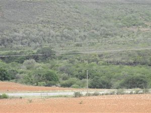 78.6 ha Farm in Herbertsdale