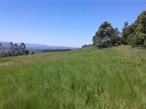 22.2 ha Farm in Howick