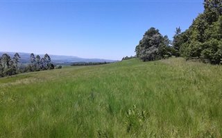 22.2 ha Farm in Howick