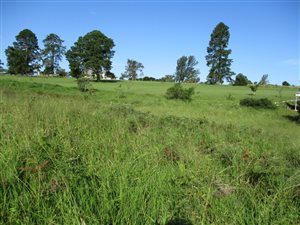 1160 m² Land available in Eshowe