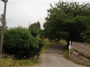 2.7 ha Land available in Rispark