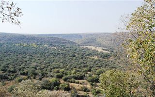 38 ha Farm in Moregloed