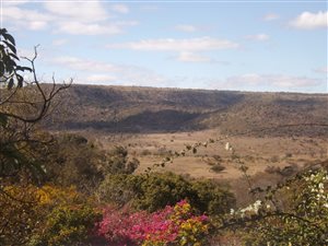619 ha Farm in Middelburg Central