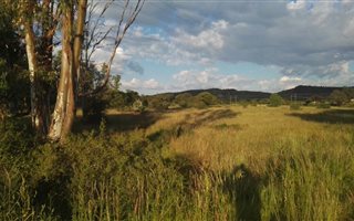 1.8 ha Land available in Roodewal and surrounds