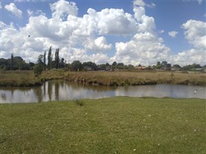 2 ha Smallholding in Marister