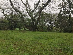 1002 m² Land available in Felixton