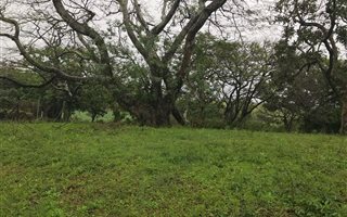 1002 m² Land available in Felixton