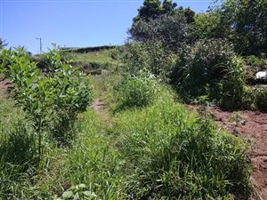 797 m² Land available in Sezela