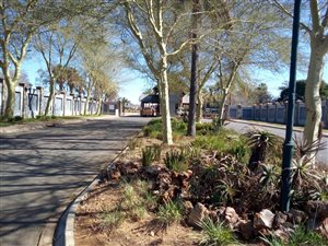 816 m² Land available in Theresa Park