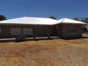 11 ha Farm in Hofmeyr