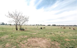 2.1 ha Farm with House in Homelands