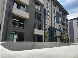 2 Bed Apartment in Brooklyn