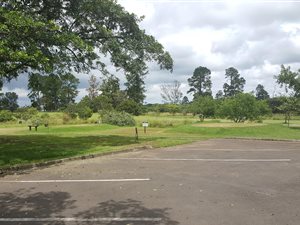 1333 m² Land available in Eshowe