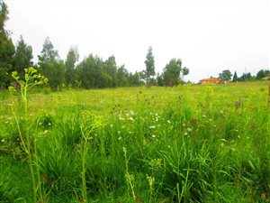 2029 m² Land available in Dullstroom