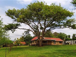 6904 m² Farm in Albert Falls