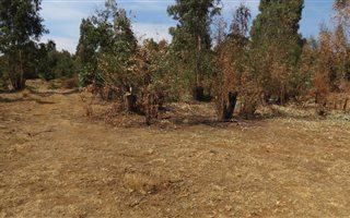 2855 m² Land available in Belfast