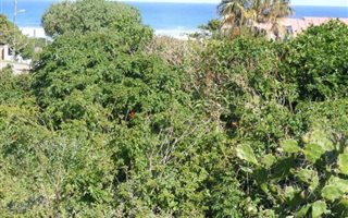 1093 m² Land available in Forest Downs