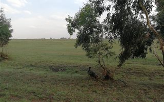 4.5 ha Land available in Witbank Central