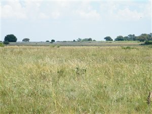 650 m² Land available in Doringkruin