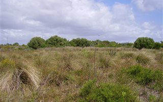 655 m² Land available in Fountains Estate