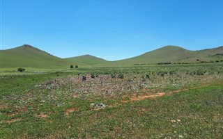 568 ha Farm in Kokstad