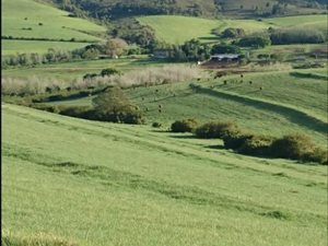 496 ha Farm in Heidelberg