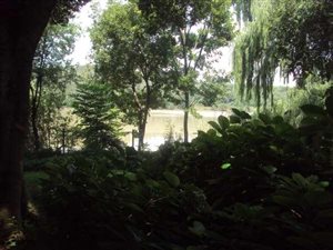 5 Bed House in Marlbank