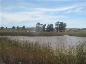 15 ha Farm in Elands Bay