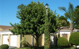 3 Bedroom Townhouse in Loevenstein