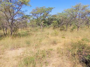 1 ha Farm in Lephalale (Ellisras)