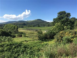 Farm in Byrne Valley