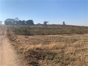 22.1 ha Land available in Camperdown