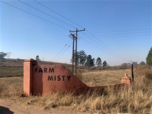 22.1 ha Land available in Camperdown