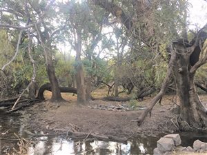 880 ha Farm in Zeerust