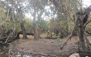 880.5 ha Farm in Zeerust