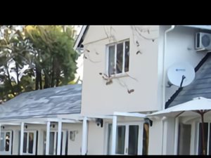 9 Bed House in Woodside