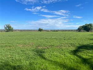 3.3 ha Smallholding in Douglas