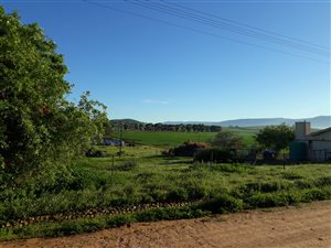 1661 m² Land available in Koringberg