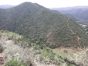 480 ha Farm in Humansdorp