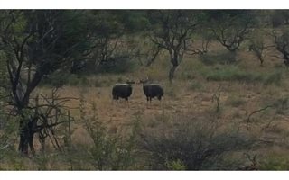 282 ha Land available in Vredefort