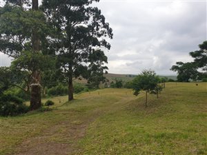 3.3 ha Land available in Summerveld