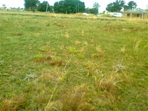 3263 m² Land available in Jameson Park