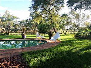 45 ha Farm in Roodeplaat