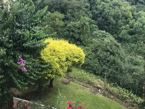 3 Bedroom Duplex in Assagay