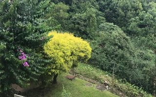 3 Bedroom Duplex in Assagay