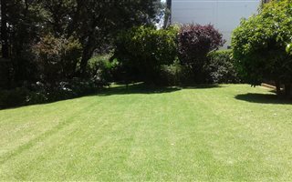 3 Bedroom Apartment in Linksfield
