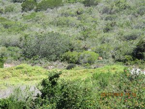 751 m² Land available in Seemeeu Park