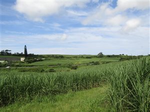 12 ha Farm in Ballito