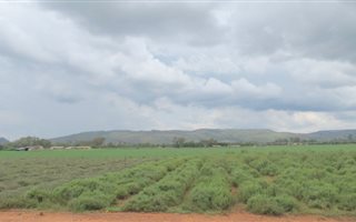 47 ha Farm in Hekpoort